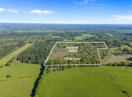 Undeveloped Land for sale in Panola County, Texas