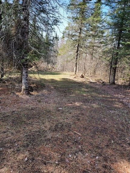 Undeveloped Land for sale in Sawyer County, Wisconsin