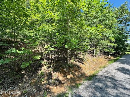 Undeveloped Land for sale in Overton County, Tennessee
