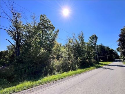 Undeveloped Land for sale in Chautauqua County, New York