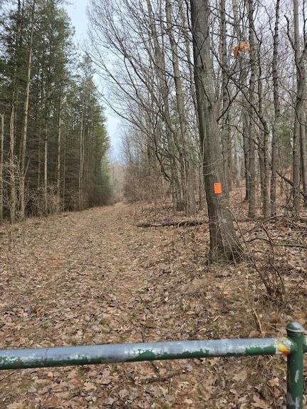 Undeveloped Land for sale in Oceana County, Michigan