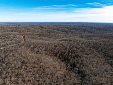 Timberland Property for sale in Randolph County, Arkansas