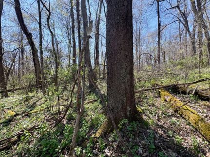 Property for sale in Washington County, Pennsylvania