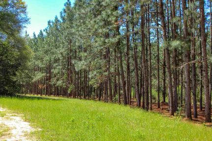 Property for sale in Dale County, Alabama