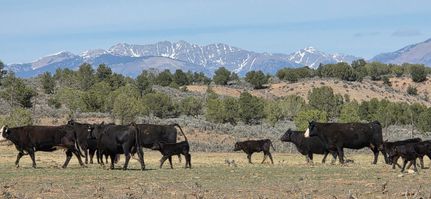 Property for sale in La Plata County, Colorado