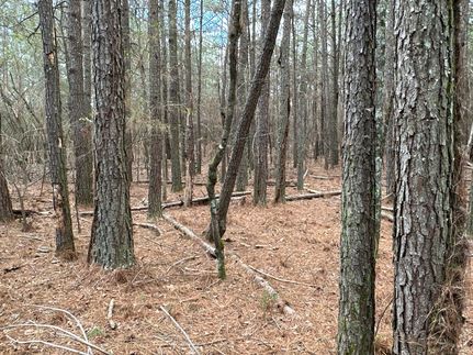 Recreational Property for sale in Bartow County, Georgia