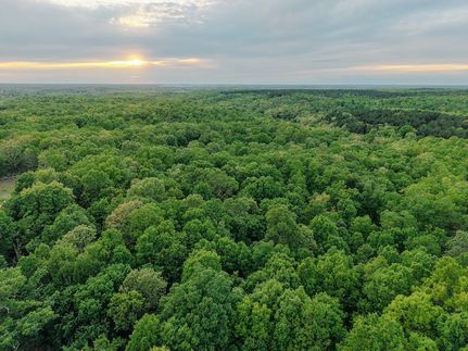 Timberland Property for sale in Dent County, Missouri