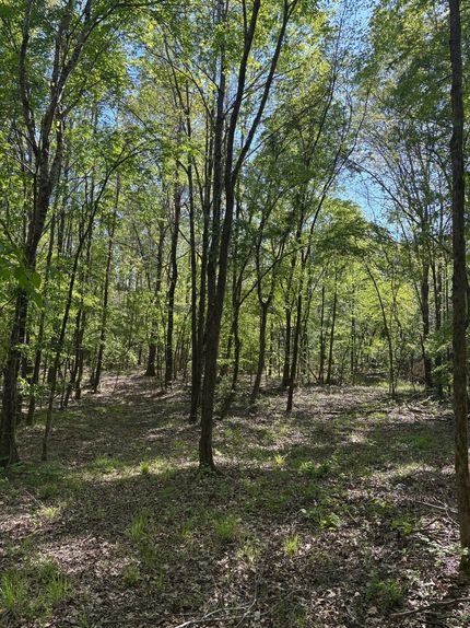 Property for sale in Pontotoc County, Mississippi