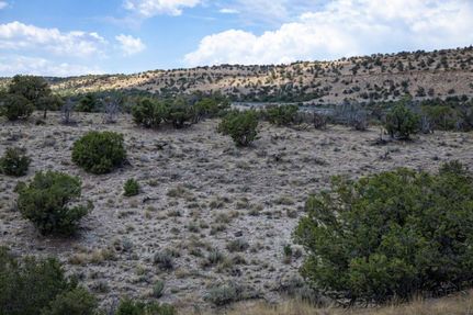 Property for sale in Apache County, Arizona