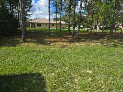 Undeveloped Land for sale in Citrus County, Florida
