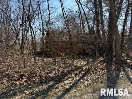 Property for sale in Menard County, Illinois