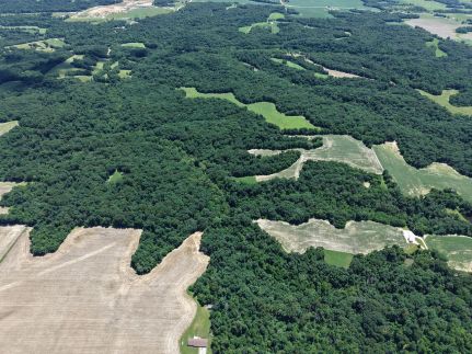 Property for sale in Pike County, Illinois
