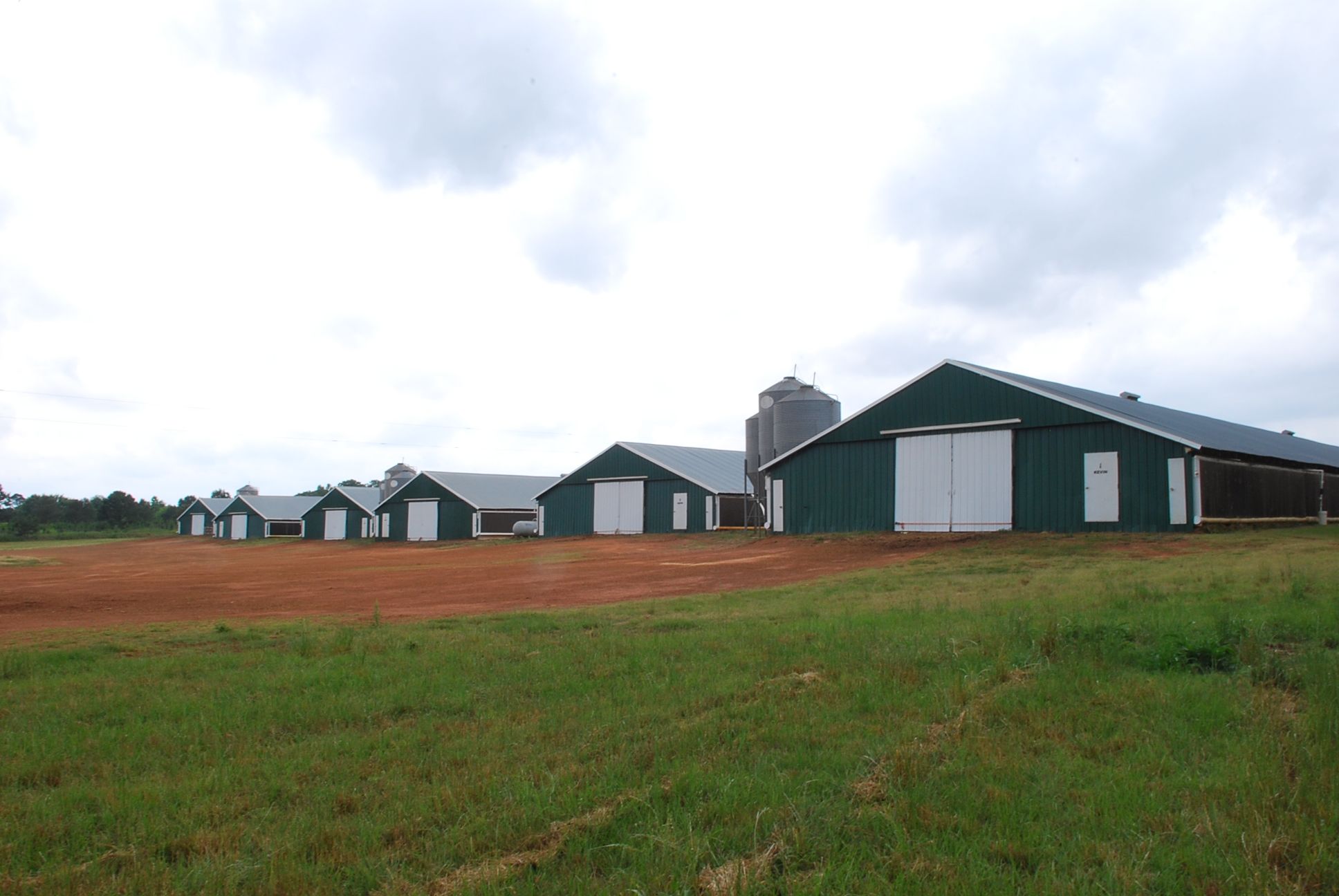 20 acres in Sumter County,