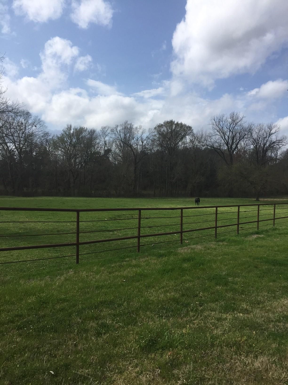 10 acres in Warren County, Mississippi