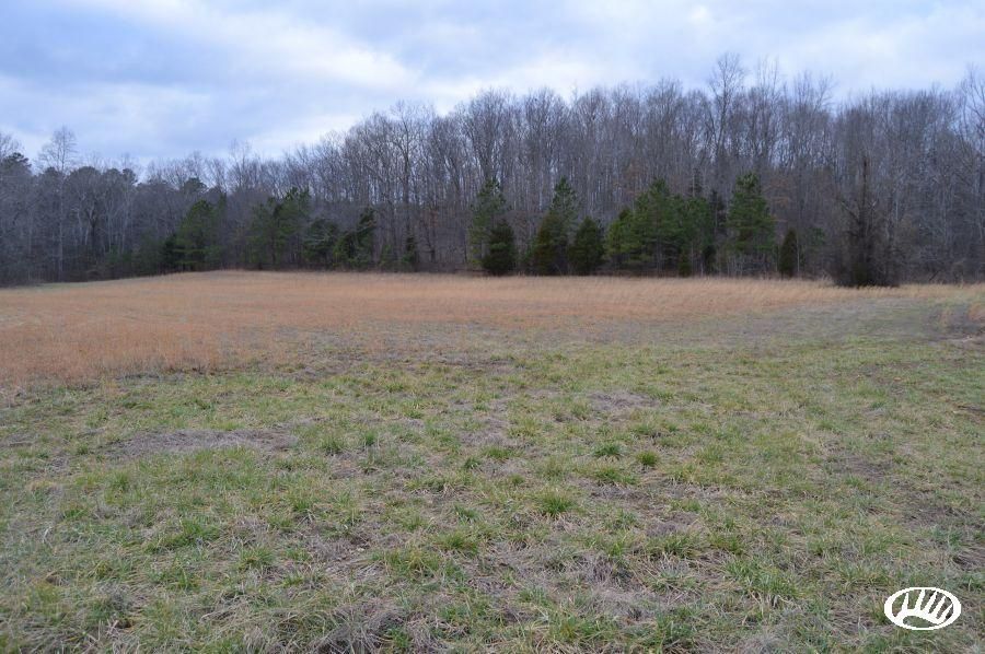 503 acres in Stewart County, Tennessee