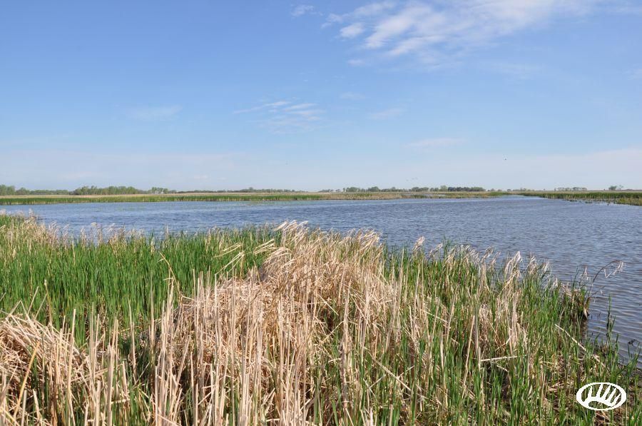 80 acres in Charles Mix County, South Dakota