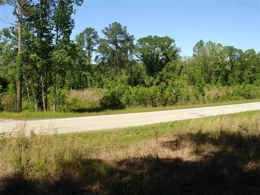 80 acres in Bullock County, Alabama