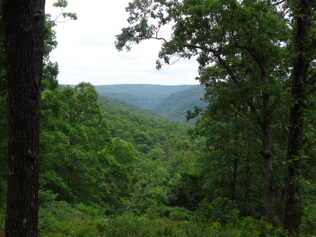 40 acres in Newton County, Arkansas