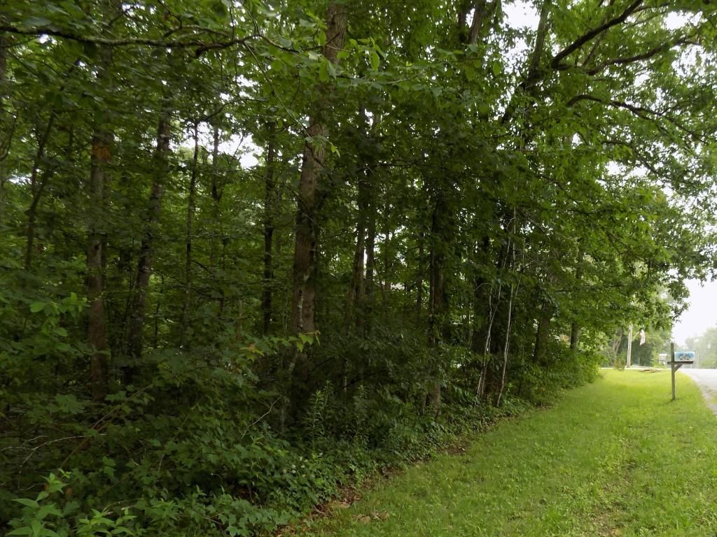 8.8 acres in Charlevoix County, Michigan