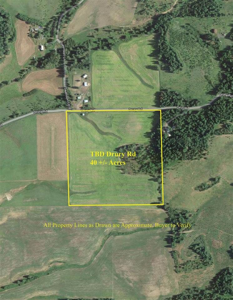 40 acres in Latah County, Idaho