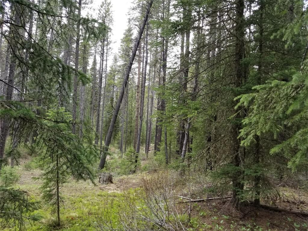 1 acres in Park County, Montana