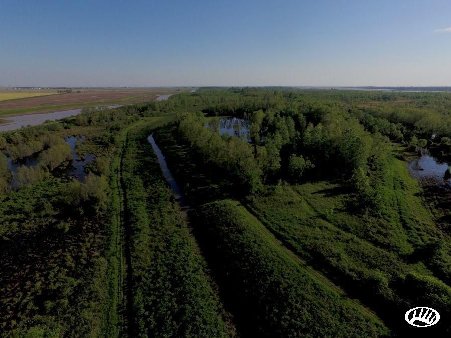 950 acres in Dunklin County, Missouri