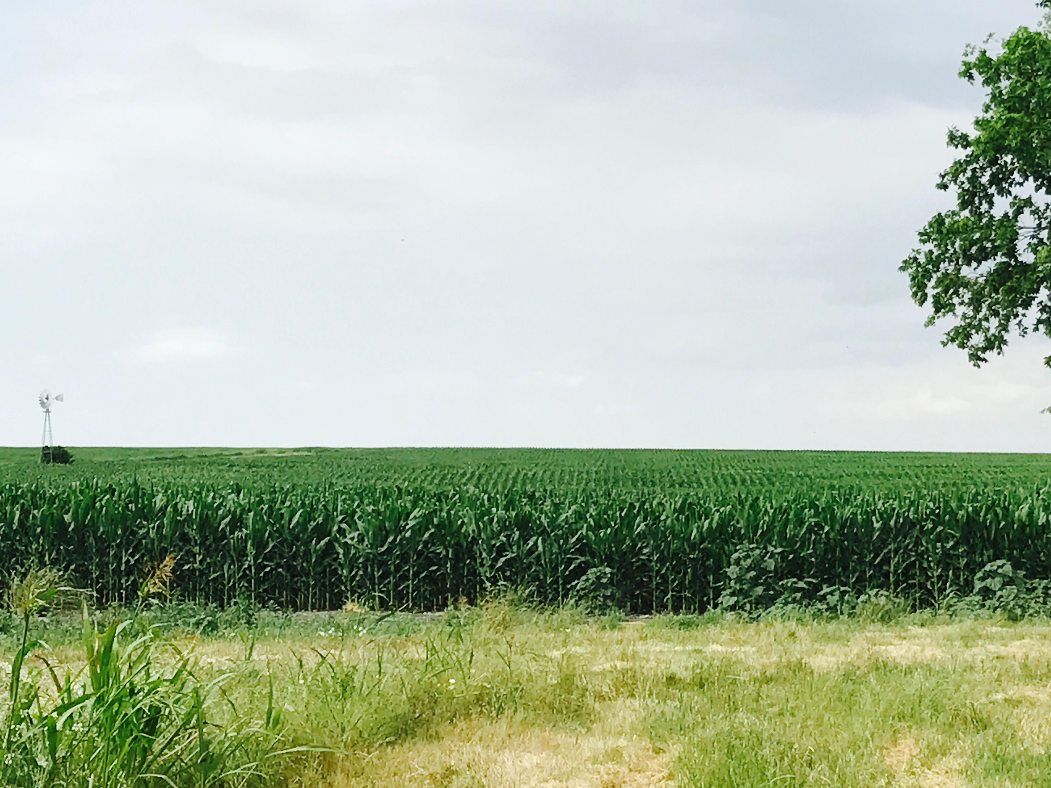 100 acres in Bell County, Texas