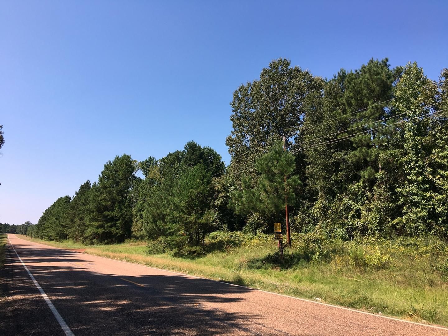 177 acres in Panola County, Texas