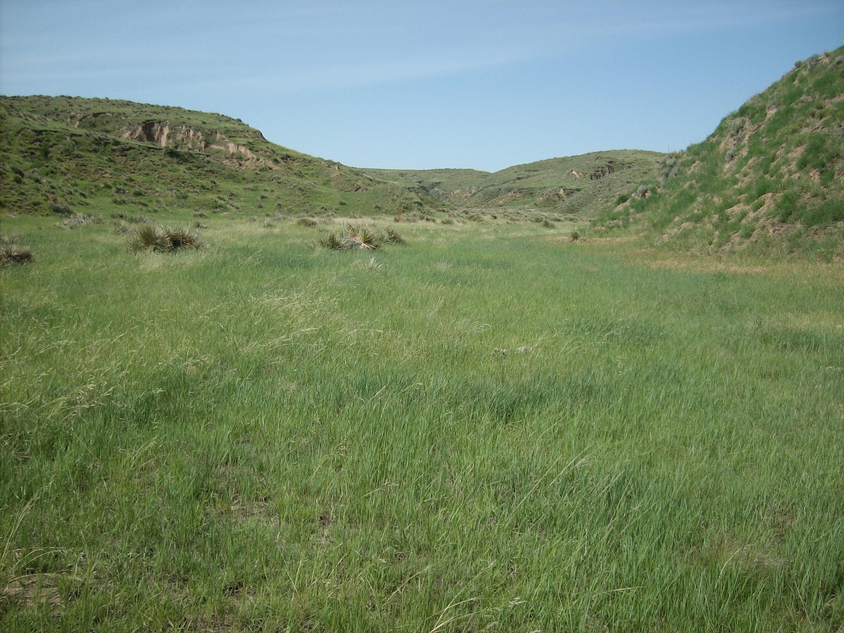 1,580 acres in Cheyenne County, Kansas