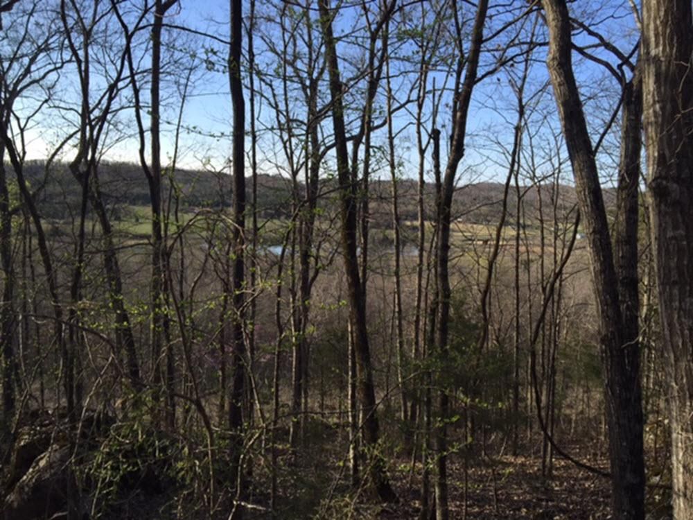 38 acres in Marshall County, Alabama
