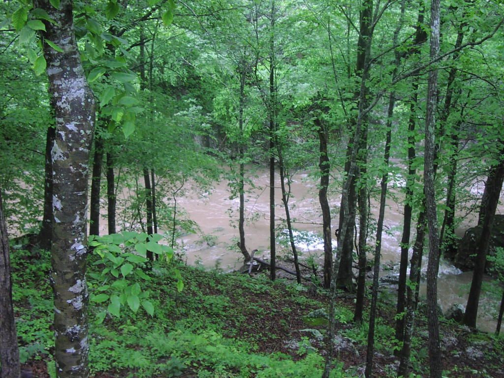 20 acres in Newton County, Arkansas