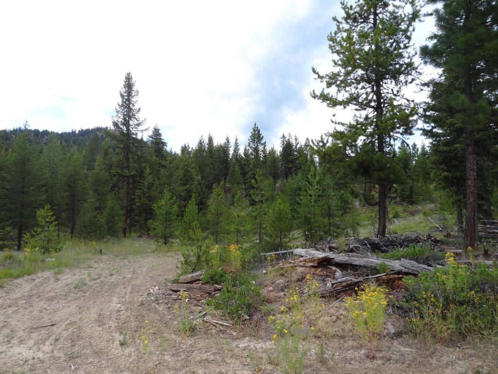 161.43 acres in Lincoln County, Montana