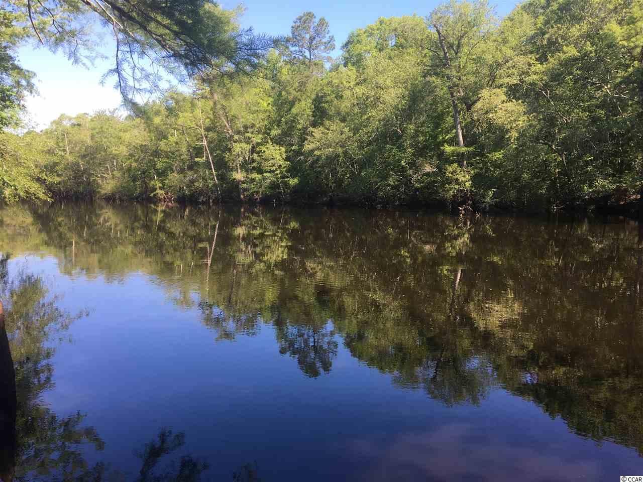 10.6 acres in Williamsburg County, South Carolina