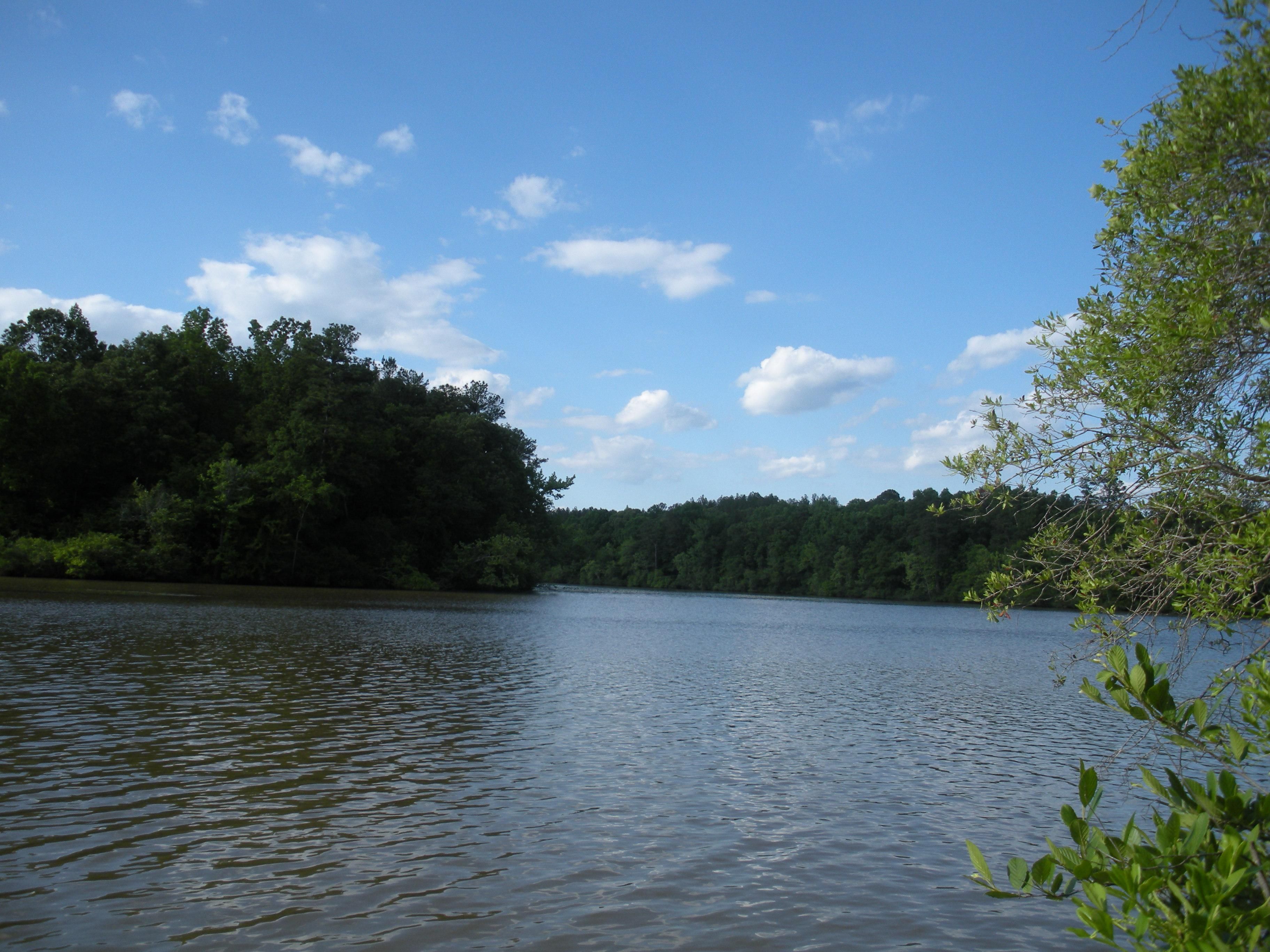 80.26 acres in Reeltown, AL, 36078