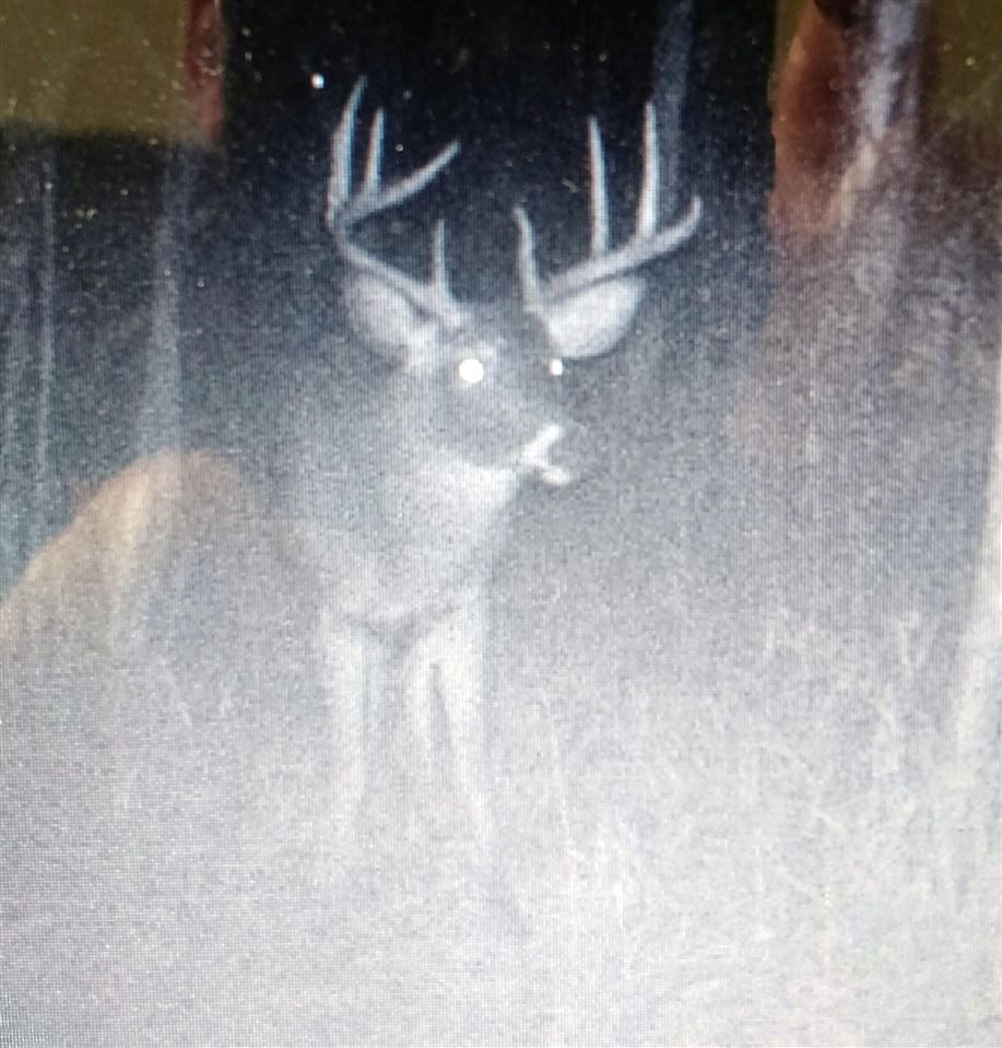 40 acres in Waushara County, Wisconsin