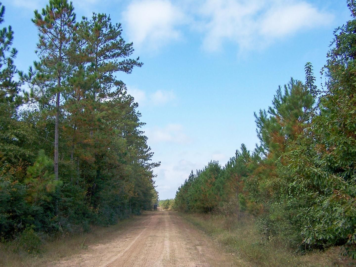 70 acres in Hardin County, Texas