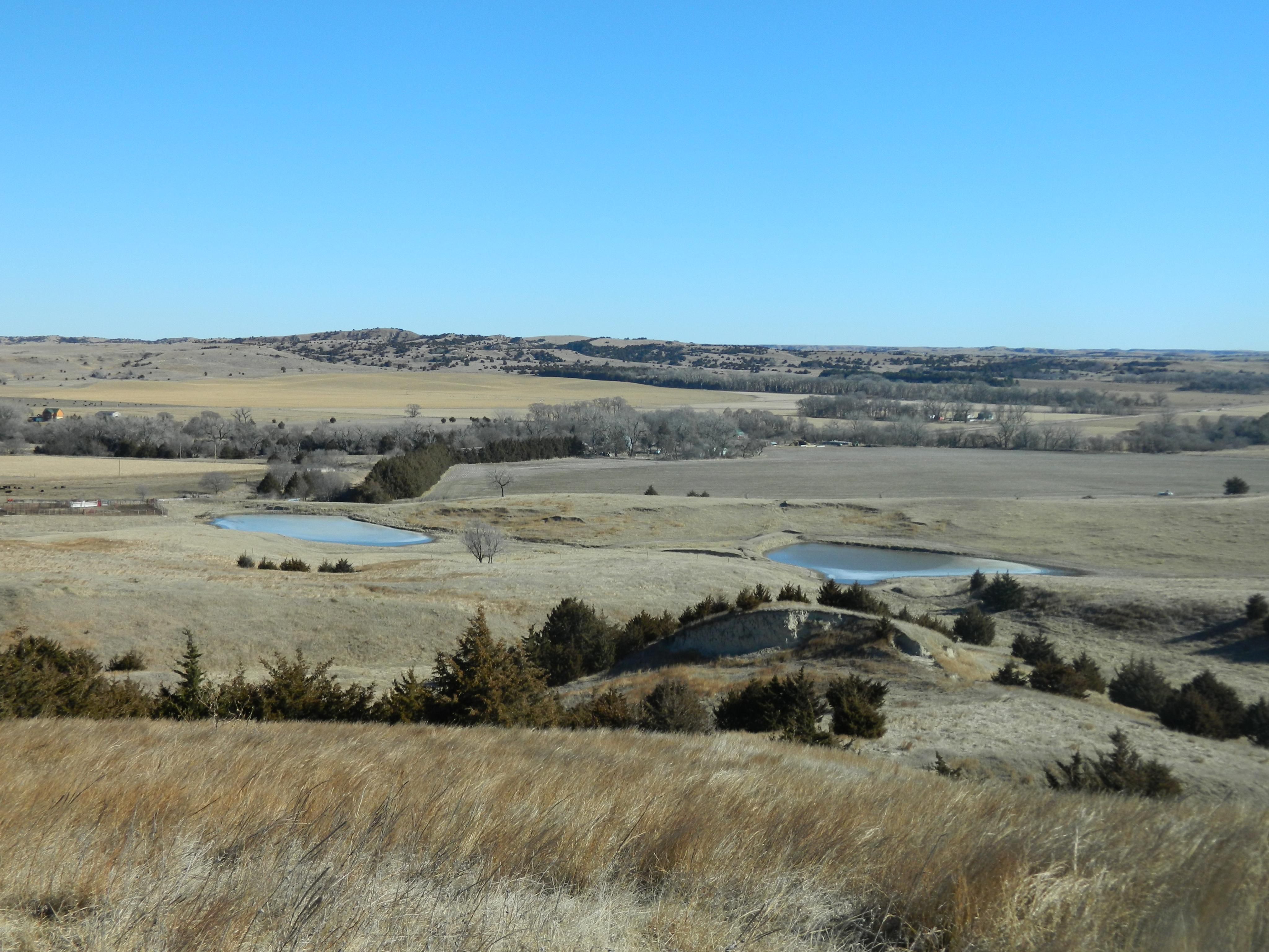 446 acres in Custer County, Nebraska