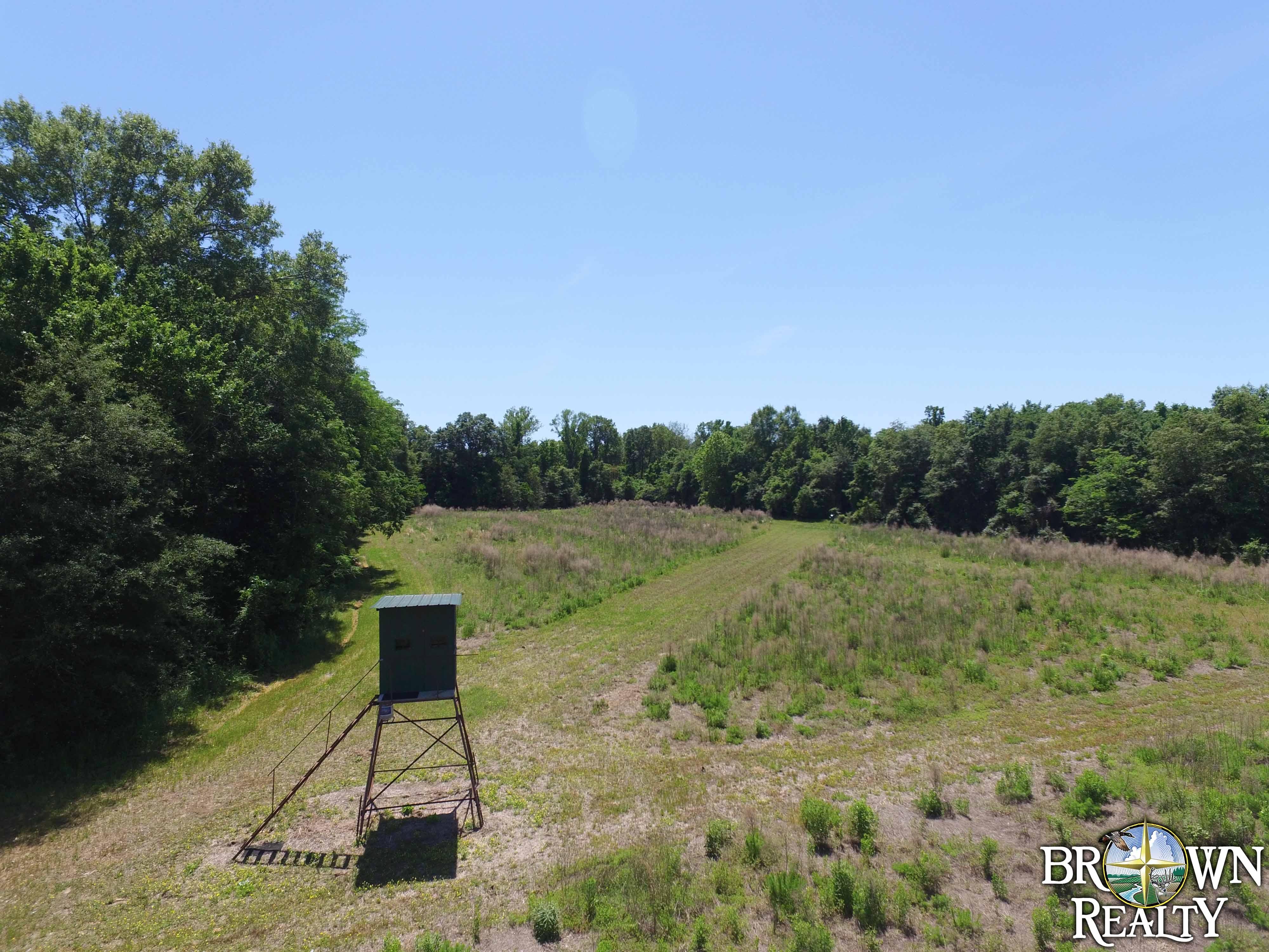 40 acres in Morehouse Parish, Louisiana