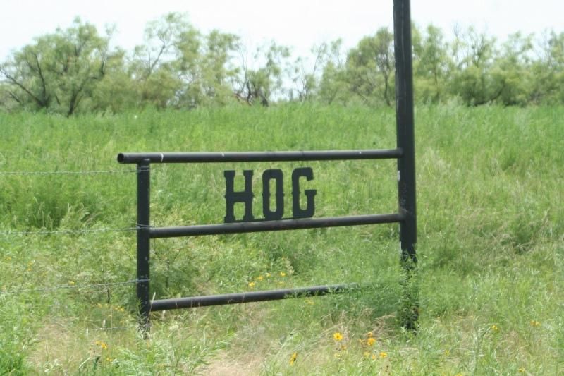 40 acres in Dickens County, Texas