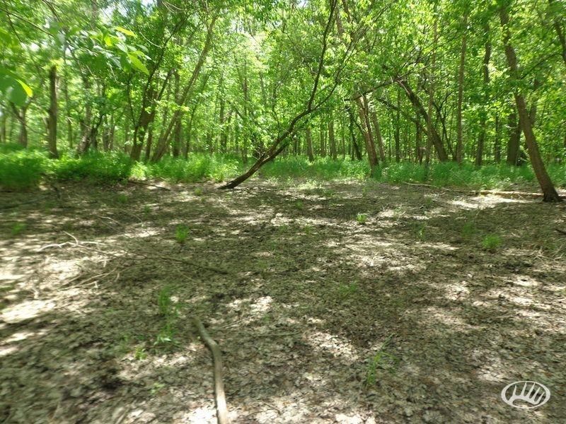 60 acres in Bremer County, Iowa