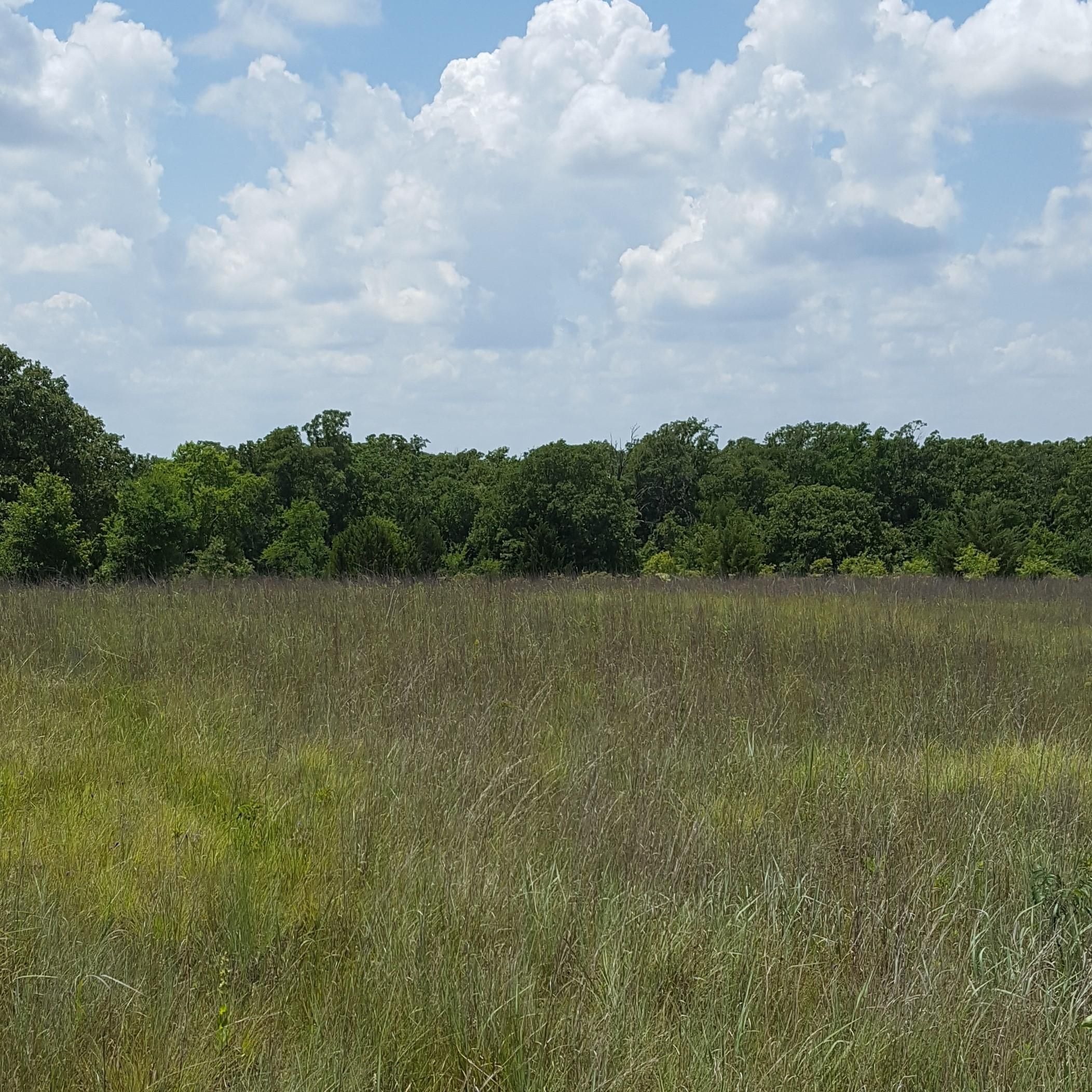 120 acres in Murray County, Oklahoma