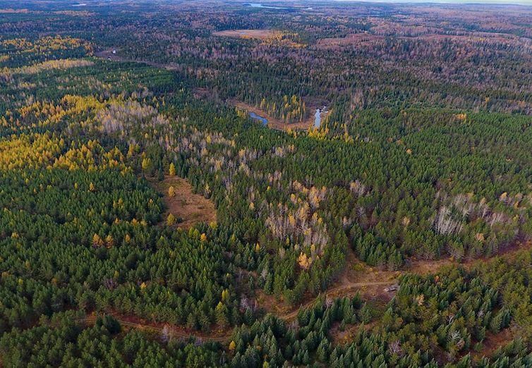 25,000 acres in Lake County, Minnesota