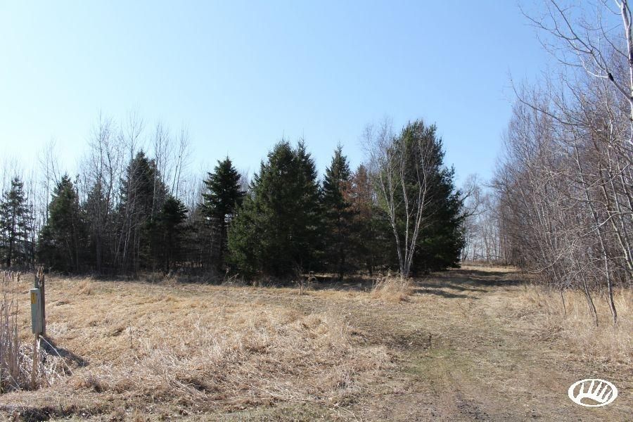 11411 Finch Road NE, Gilman, MN 56329