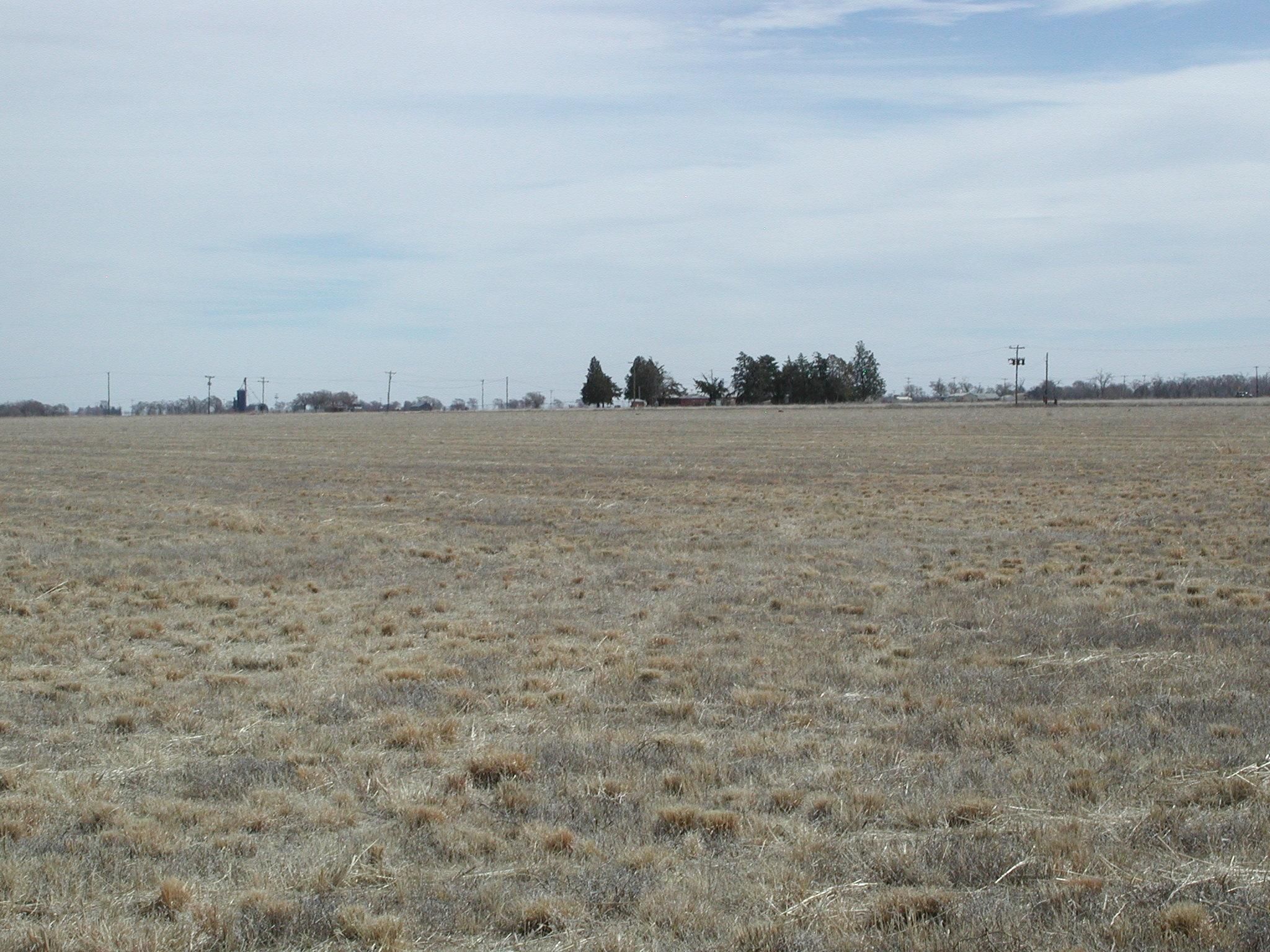 40 acres in Bailey County, Texas