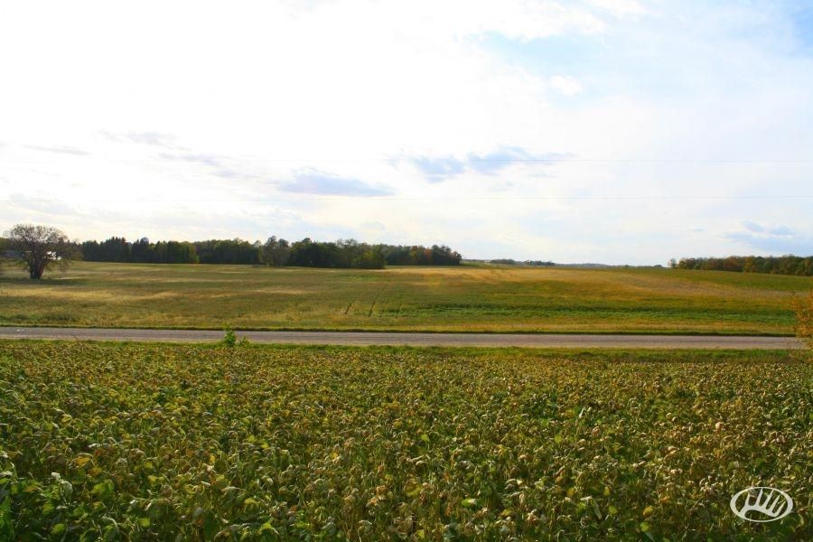 40 acres in Douglas County, Minnesota