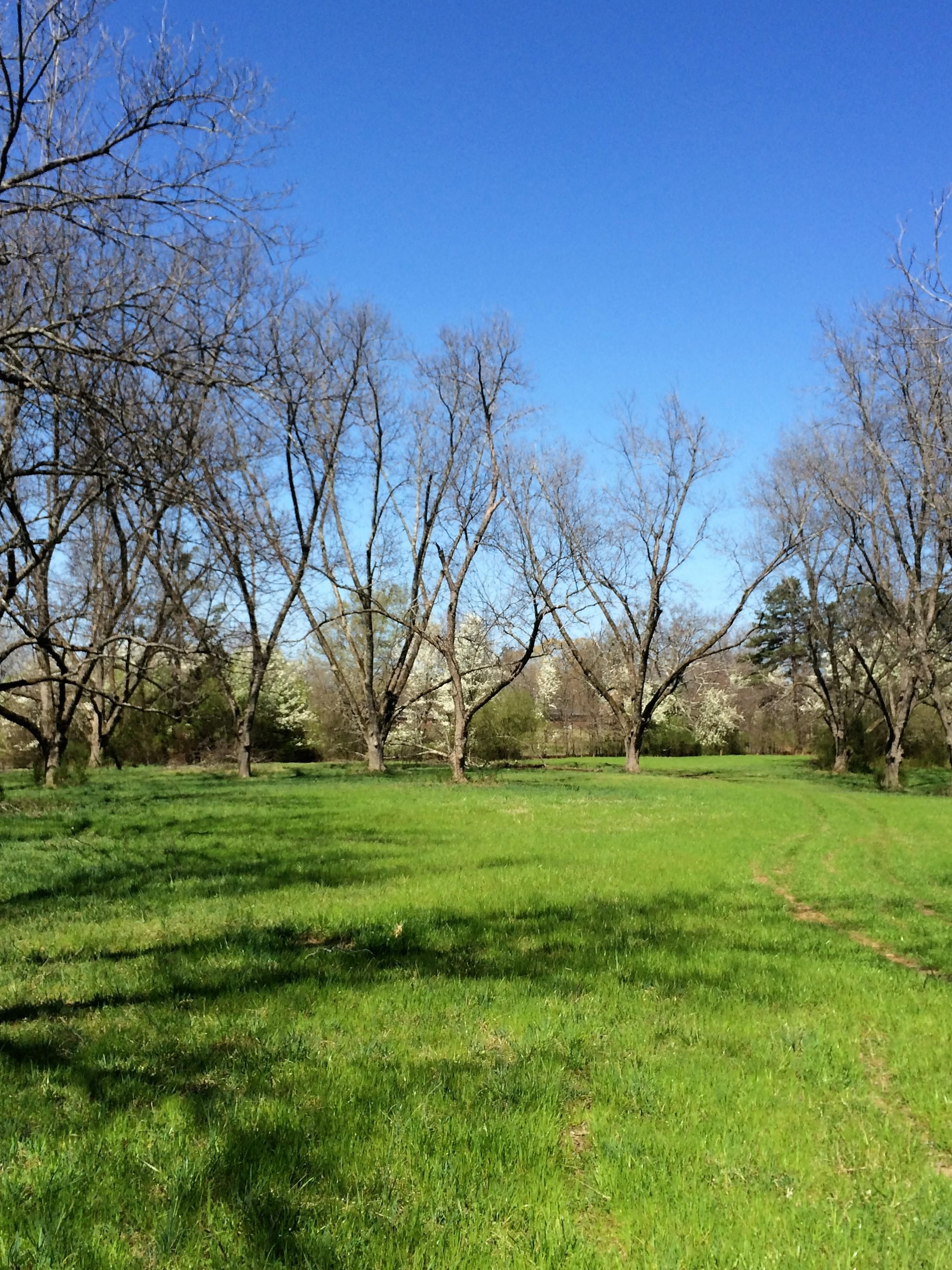 50.03 acres in Fulton County,