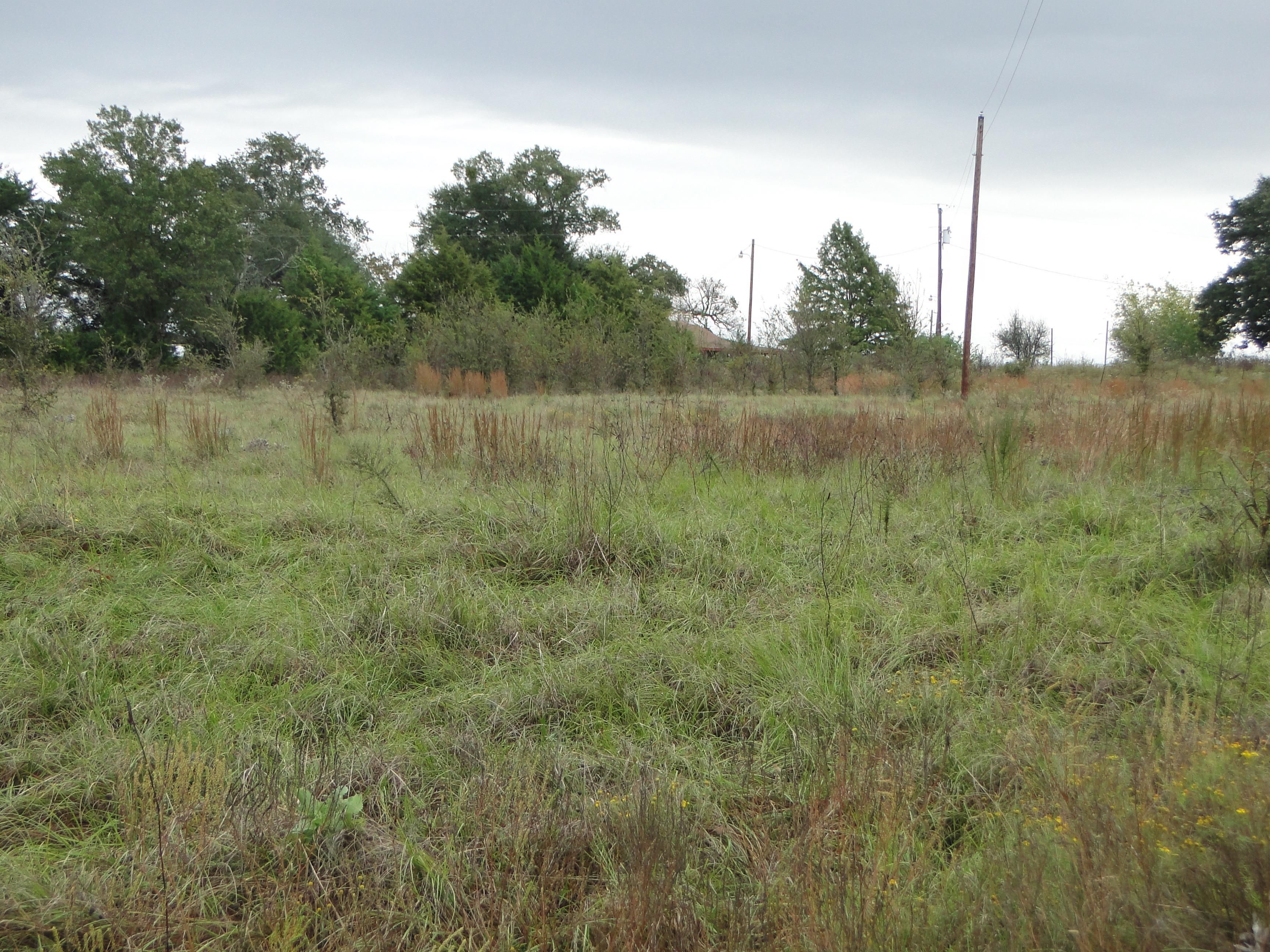 17 acres in Freestone County, Texas