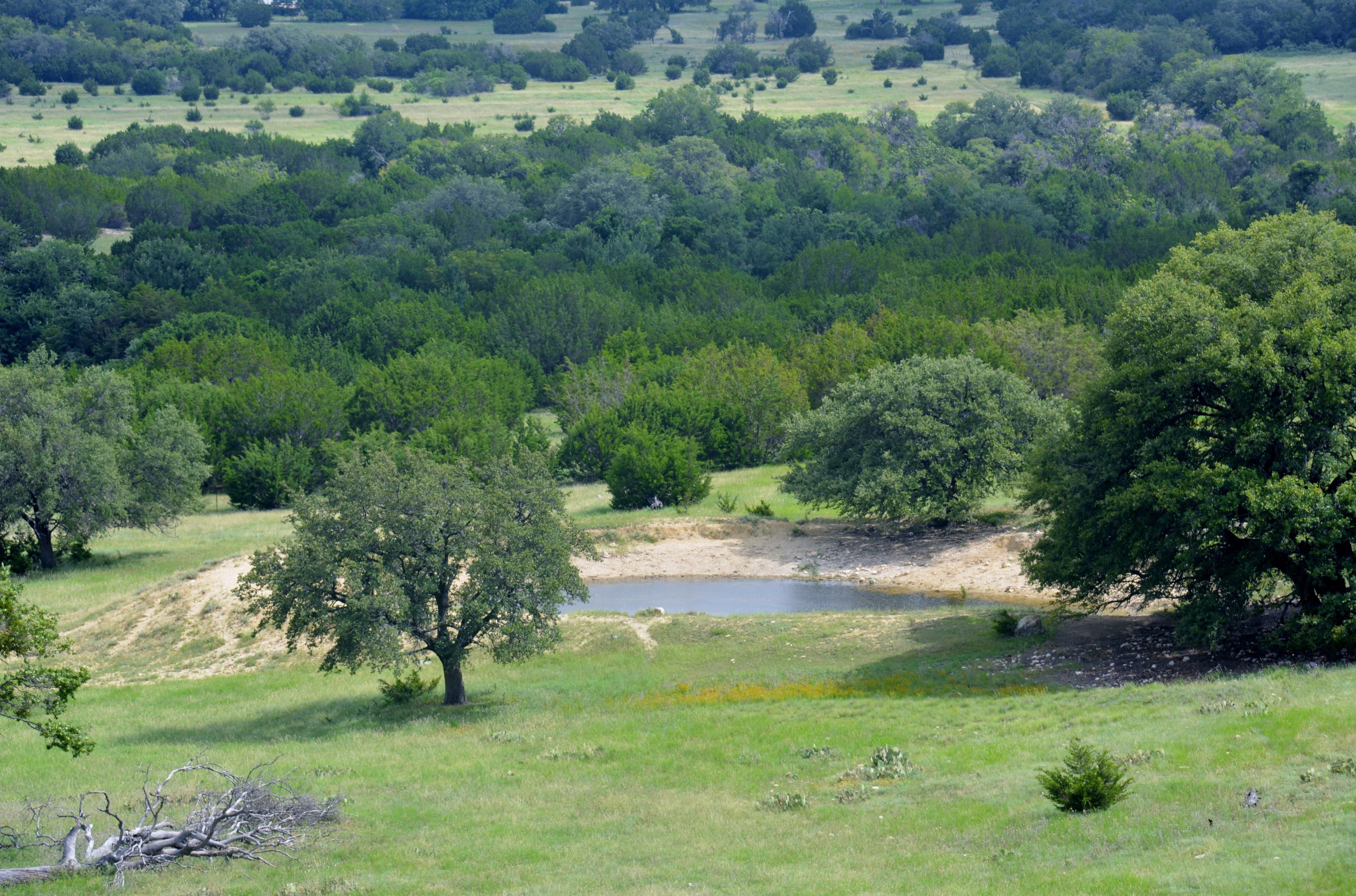 495 acres in Mills County, Texas