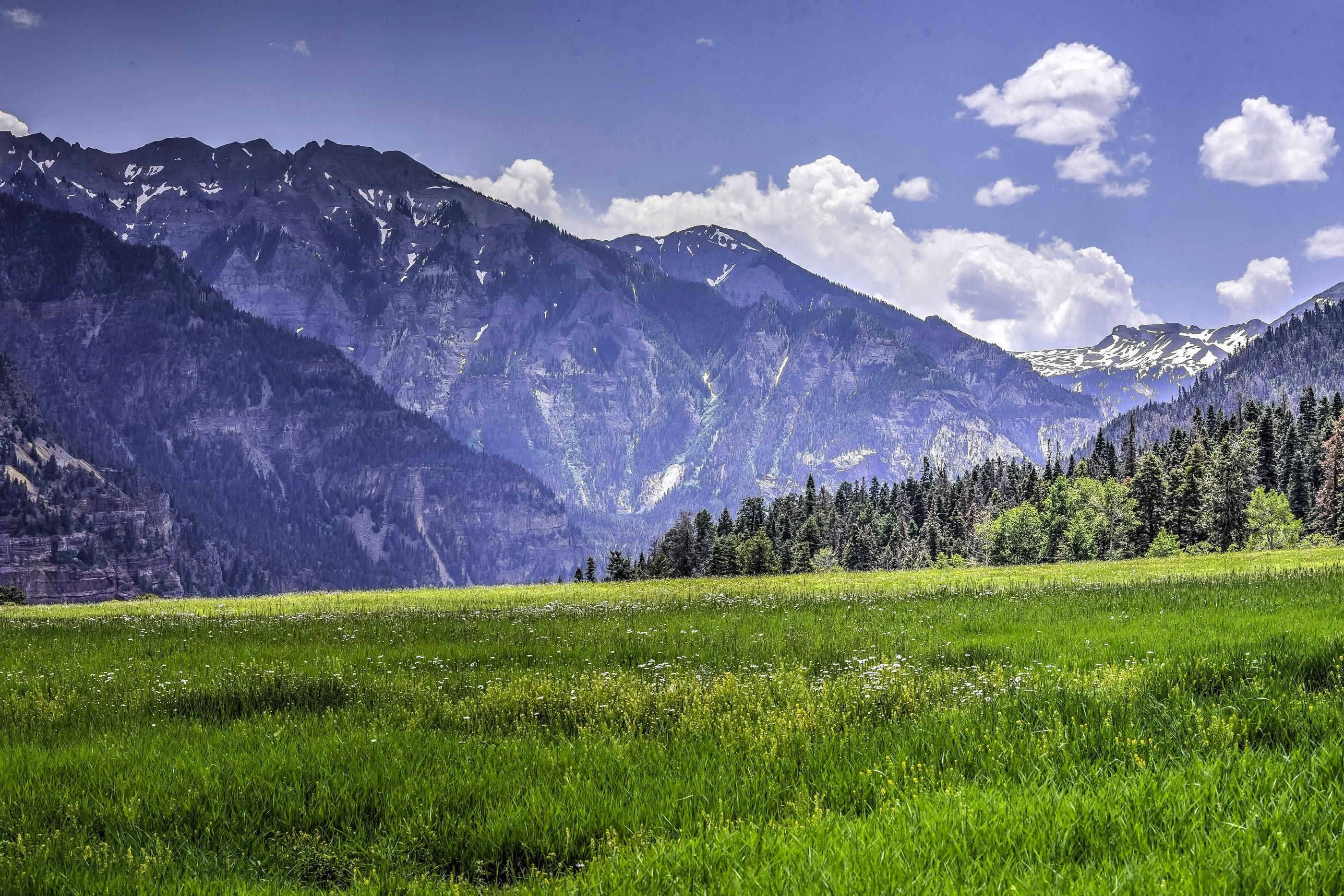 411 acres in Ouray County, Colorado