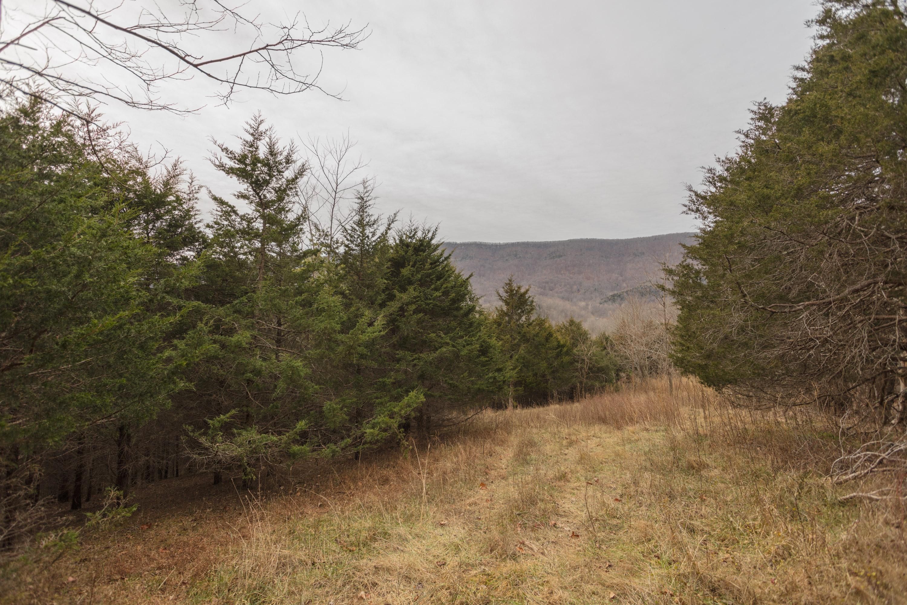 42 acres in Rockbridge County, Virginia